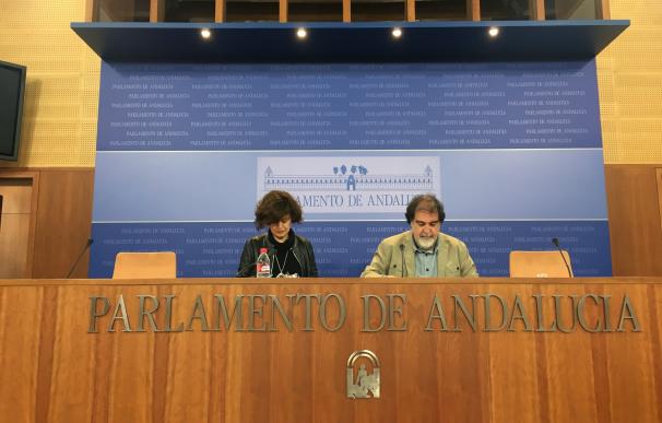 Podemos acusa a Susana Díaz de usar San Telmo "como trinchera para dar batalla en el PSOE" y la tacha de "irresponsable"