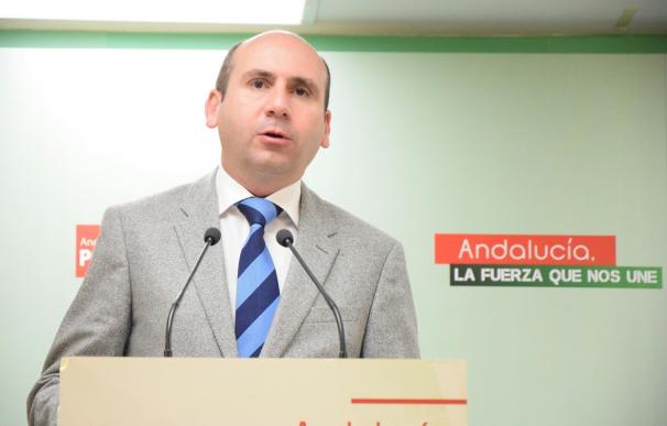 Conejo (PSOE-A): "El PP de Andalucía es un partido podrido que intenta comprar concejales"