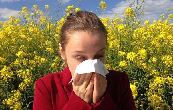La rinitis alérgica puede predisponer a la halitosis por la acción de bacterias en la mucosidad estancada