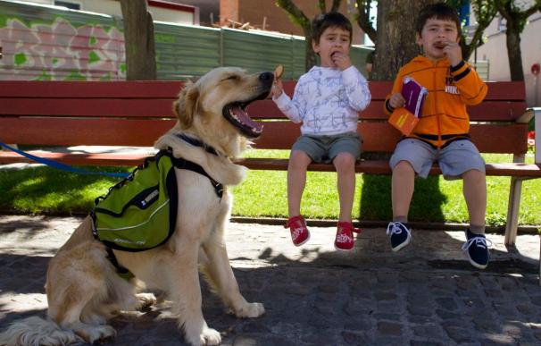 Oviedo tendrá el primer centro gratuito de España para tratar niños autistas