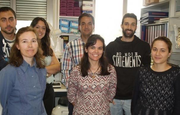 nvestigadores del Centro del Cáncer de Salamanca demuestran nuevos avances en el linfoma folicular