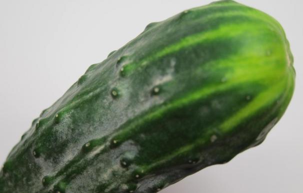 La crisis del pepino hunde los precios de las hortalizas hasta un 13% en mayo