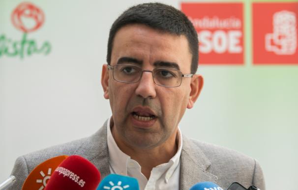 PSOE-A defenderá el principio de "igualdad" de oportunidades entre españoles y se remite a la Declaración de Granada