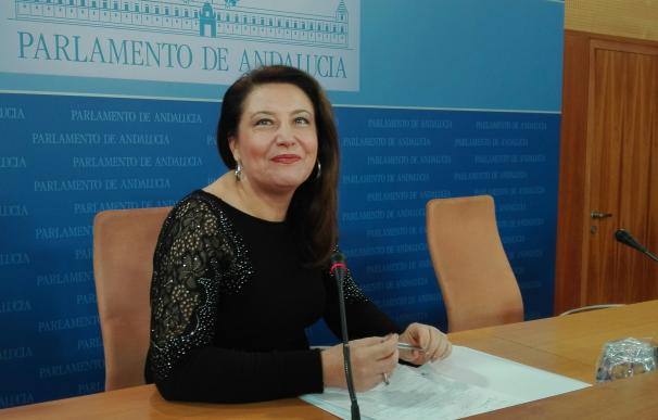 PP-A: El Gobierno andaluz lleva dos años de "parálisis y oscurantismo, pendiente del futuro de Susana Díaz"