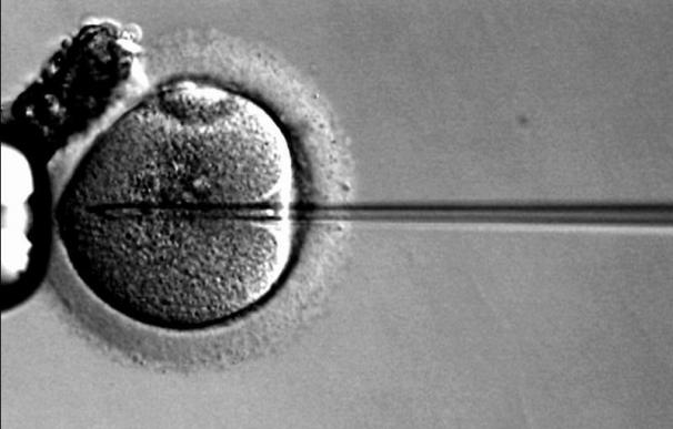 Un juez permite a una mujer quedar embarazada 'in vitro' con esperma de su marido muerto