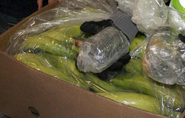 Trece detenidos y cinco kilos de droga aprehendidos en la operación "Atalaya"