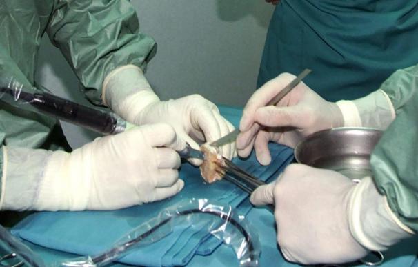 El Congreso de Trasplantes expresa su preocupación por los 5.000 pacientes en espera