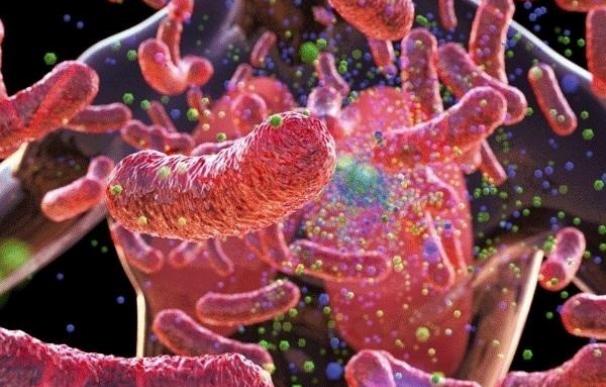 Científicos desarrollan una prueba para identificar rápidamente las infecciones de tuberculosis en todo el mundo