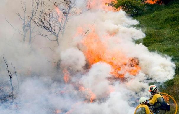 Imputan delito de incendio forestal a tres de los cinco detenidos en Navarra
