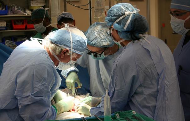 Canarias realiza más de 8.400 trasplantes en los últimos 30 años