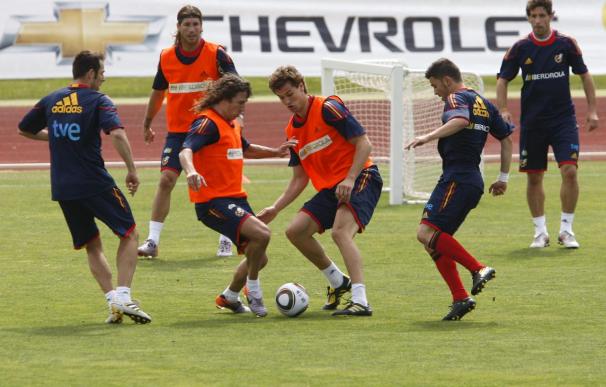 Piqué, Arbeloa, Cesc y Fernando Torres se ausentan del entrenamiento de la selección española