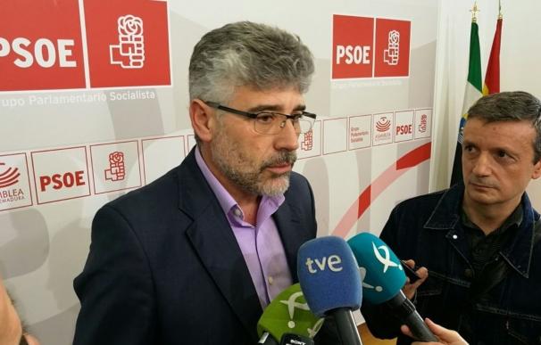 El PSOE en Extremadura defiende la ecotasa y critica que el Gobierno de España proteja a las "grandes empresas"