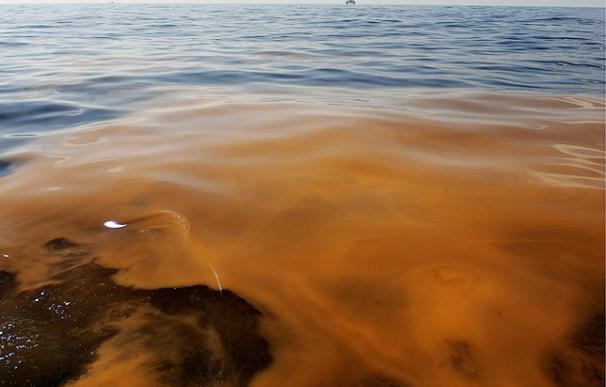 Detalle de crudo flotando en la superficie en la costas de Luisiana (EEUU). EFE