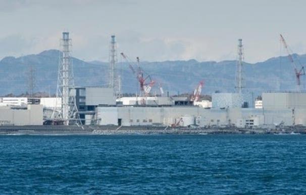 Greenpeace denuncia que Japón presiona a los afectados por el accidente de Fukushima para que vuelvan a zona contaminada