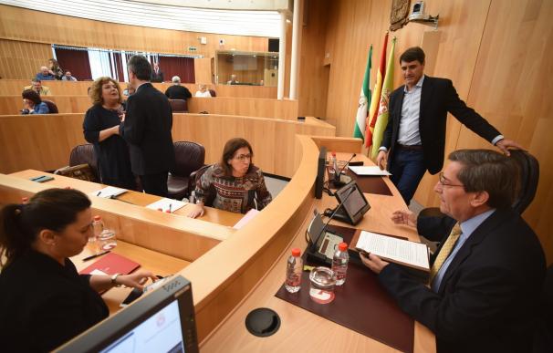 La Diputación aprueba su presupuesto para 2017 que asciende a los 254 millones de euros en ingresos