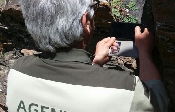 Junta localiza una nueva población del endemismo 'Erodium rupícola' en la Sierra de Los Filabres