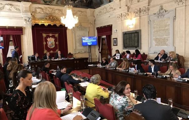 El Pleno insta a Junta a financiar un plan extraordinario contra los mosquitos en la zona del Guadalhorce