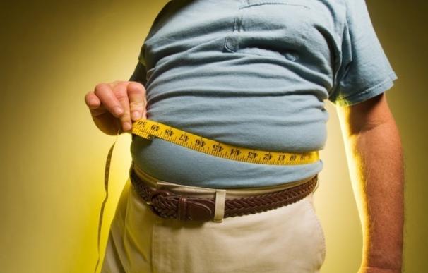 Investigadores confirman la relación entre el estrés crónico y la aparición de la obesidad