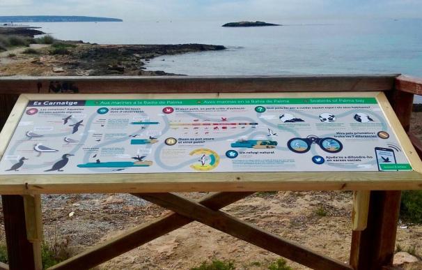 Cort instala un cartel sobre aves marinas en Es Carnatge