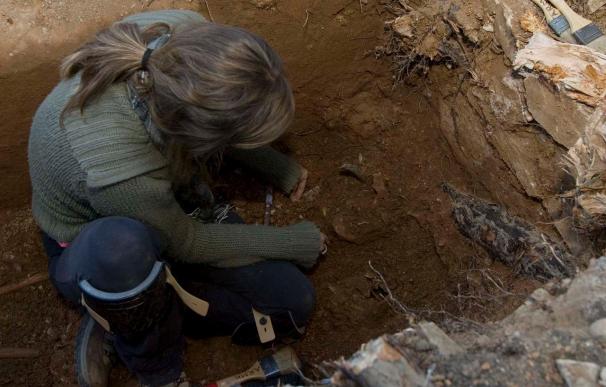 Exhumados en Candeleda 7 cadáveres de una fosa común tras 4 días de trabajos