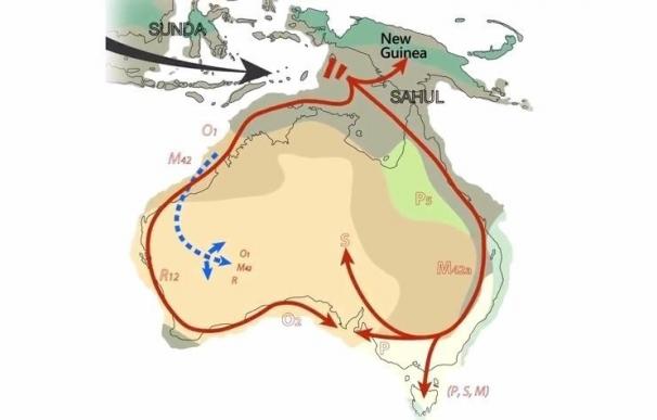 Los aborígenes viven en Australia desde hace 50.000 años