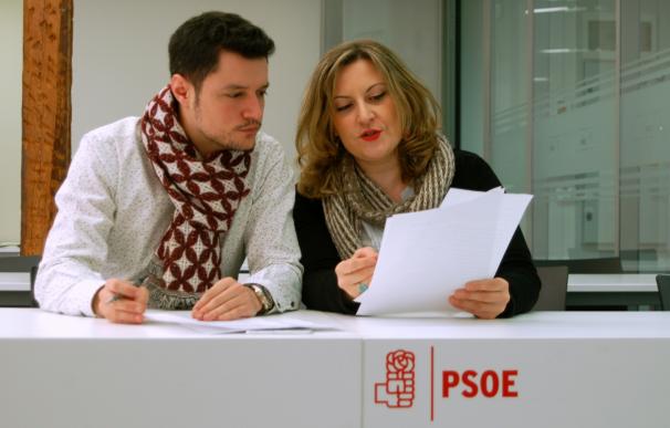 PSOE de La Rioja apuesta por la educación pública con 30 enmiendas a los Presupuestos por 4 millones de euros