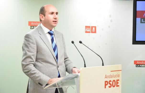 PSOE-A defiende la "neutralidad" de Junta con la Agencia del Medicamento y acusa a Gobierno de "traicionar" a candidatas