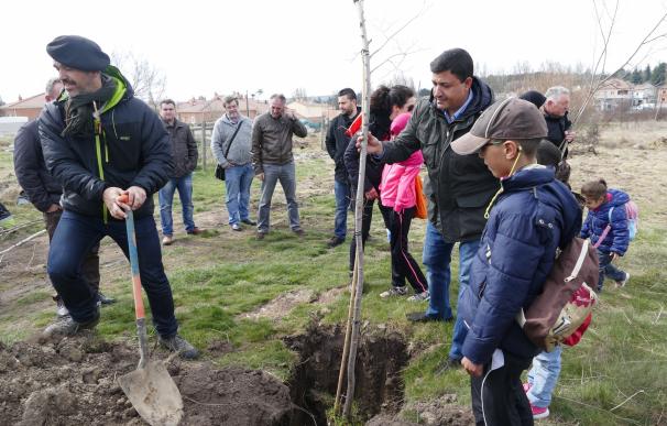Alumnos de varios colegios celebran el Día del Árbol con la plantación de 350 ejemplares en La Cañada (Ávila)
