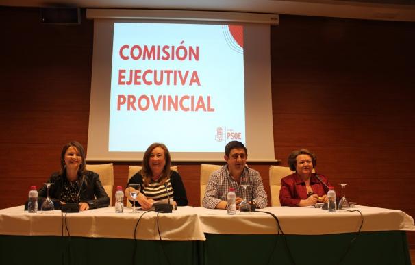 Soledad Pérez (PSOE) augura "más y mejor democracia" con la futura Ley de Participación Ciudadana