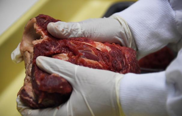 Brasil pierde sus grandes mercados por el escándalo de la carne podrida