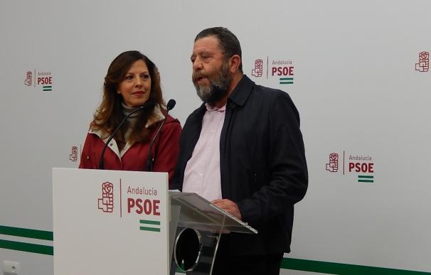 El PSOE destaca que la Ley de Memoria Histórica reforzará la labor ya hecha en la provincia