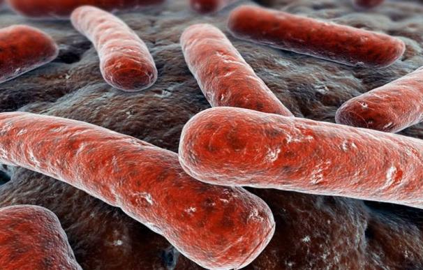 España supera los 4.000 casos de tuberculosis anuales, una cifra que sigue siendo muy alta.