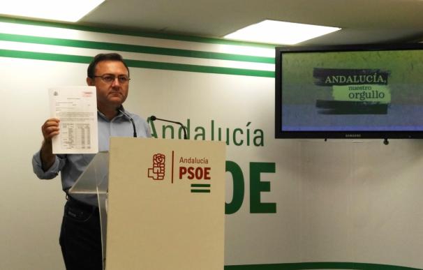 Heredia (PSOE) critica que el Gobierno pida a 24.000 estudiantes andaluces devolver becas y los "recortes" en la cuantía
