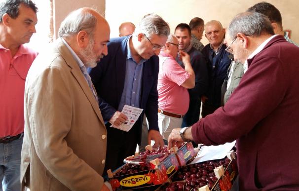 Olona anima a los productores de cerezas a cooperar y poner en marcha iniciativas conjuntas