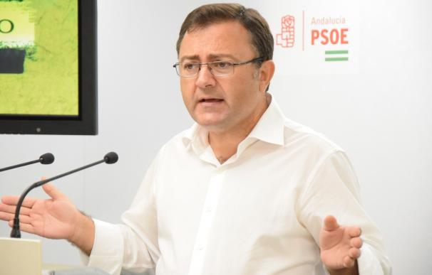 PSOE-A pide a PP-A y Podemos que "dejen de deteriorar la imagen de la gran sanidad pública de Andalucía"