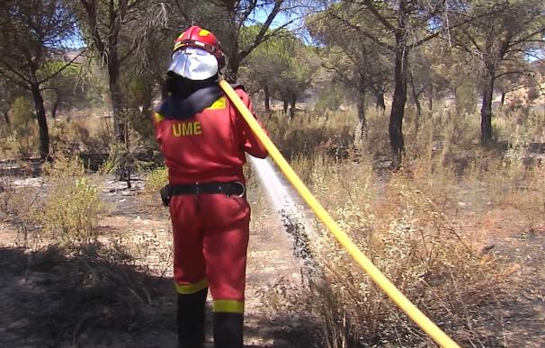 Medio Ambiente promete "ayuda inmediata" a la zona de Moguer (Huelva) tras el incendio del pasado junio