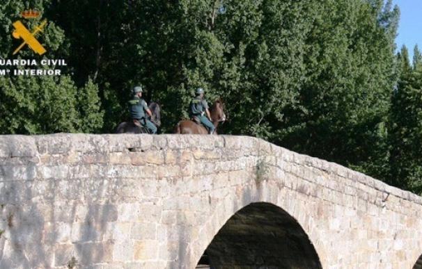 Helicópteros y caballería de la Guardia Civil se unen al dispositivo de vigilancia contra incendios en Ávila