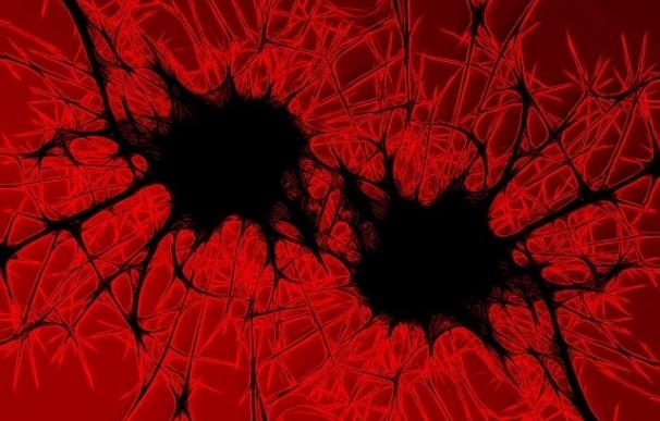 Biólogos descubren que las bacterias se comunican como las neuronas en el cerebro