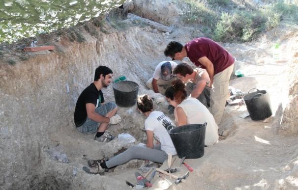 Los restos del dinosaurio de Torrelara (Burgos) pueden aportar datos novedosos sobre los titanosauriformes