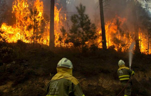 El incendio en el municipio de Lobios está controlado tras quemar 100 hectáreas