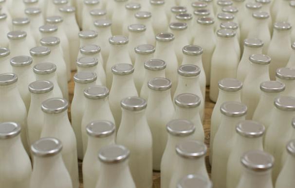 La leche entera podría ser beneficiosa para la salud según un estudio estadounidense