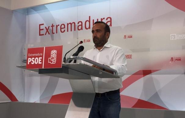 El PSOE extremeño ve "insostenible" la situación del tren e invita a hacer un "frente común y único"