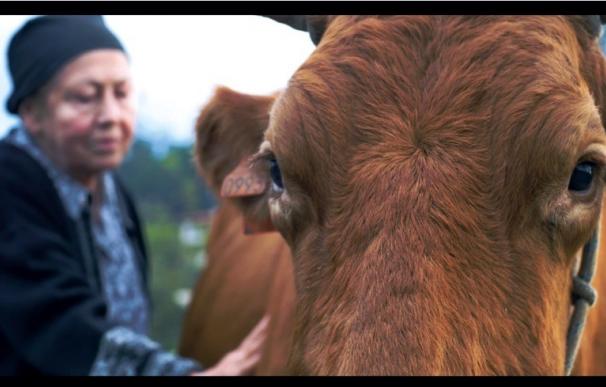'Las vacas de Wisconsin', de Sara Traba, gana el Premio al Mejor Cortometraje en el 23º Festival Ibérico de Cine