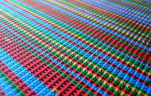 Científicos descubren un nuevo mecanismo de reparación del ADN