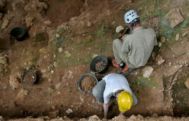 Los yacimientos de Atapuerca son la "mina" para los contenidos del Museo de la Evolución