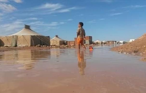 ACNUR cifra en 25.000 los refugiados saharauis damnificados por las inundaciones
