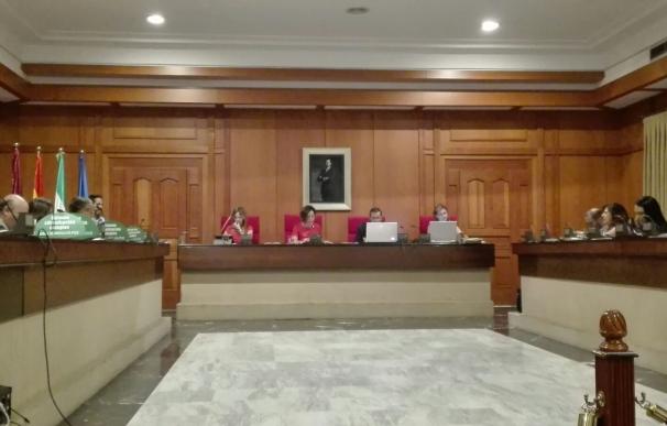 La interpretación del recuerdo a Miguel Ángel Blanco divide al Pleno del Ayuntamiento de Córdoba