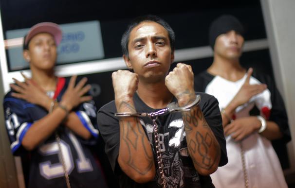 Members of the "Mara Salvatrucha" gang gesture whi