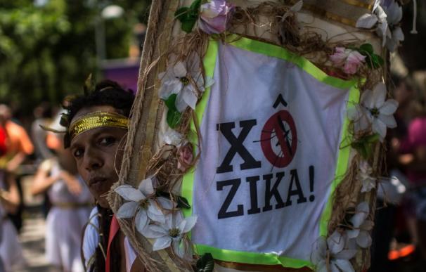 Prevenir la propagación del virus Zika en el primer carnaval de Río de Janeiro