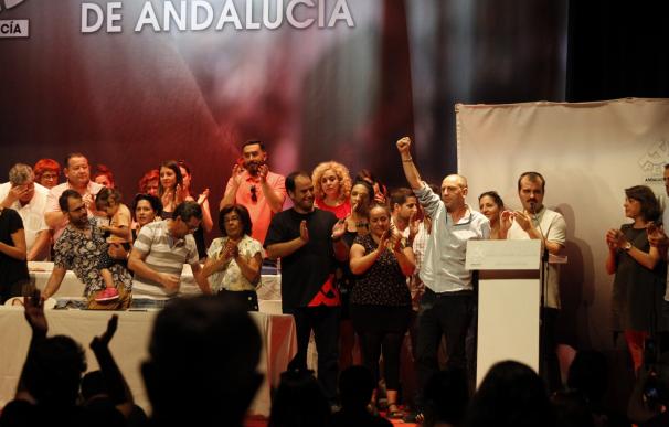 PCA apuesta por la creación de un nuevo sujeto político andaluz "con toda IU" y "sin imposiciones de nadie"